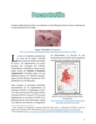 3
PRESENTACIÓN
Cuando se habla de porcicultura1
, nos referimos a la actividad que incluye la crianza, alimentación
y comercialización de los cerdos.
Imagen 1. Porcicultura. Recuperado de
https://www.gob.mx/cms/uploads/article/main_image/1960/post_porcicultura_1_web.jpg
a carne es el producto principal que
se extrae de los cerdos. Colombia
genera más de un millón de toneladas
de carne y los departamentos con mayor
presencia son: Antioquia, Eje Cafetero,
Cundinamarca y Santander en menor escala.
Según fuentes del Instituto Colombiano
Agropecuario2, Colombia cuenta con una
población porcina de 5´094.664 animales,
según el Censo Pecuario Nacional de 2016,
distribuidos en 218.698 predios.
Estos animales se encuentran localizados
principalmente en los departamentos de
Antioquia (34,42%), Cundinamarca (10,17
%), Valle del Cauca (8,18%), Meta (4,64%)
y Boyacá (4,62%) y Cauca (3,77%) en estos
departamentos se concentra el 65,80% de la
población porcina. Esta información, aunada
a los flujos de movilización y al diagnóstico
1
Autor: Secretaría de Agricultura, Ganadería, Desarrollo Rural, Pesca y Alimentación de México. Fecha de
publicación 10 de junio de 2015. Recuperado de https://www.gob.mx/sagarpa/articulos/que-es-la-porcicultura
2
Texto recuperado de https://www.ica.gov.co/getdoc/8232c0e5-be97-42bd-b07b-9cdbfb07fcac/Censos-2012.aspx
de enfermedades, se convierte en una
herramienta para el diseño de los programas
sanitarios que involucran a esta especie.
Imagen 2. Censo Porcino ICA 2016. Fuente:
Dirección Técnica de Vigilancia Epidemiológica.
Recuperado de
https://www.ica.gov.co/Areas/Pecuaria/Servicios/Epi
demiologia-Veterinaria/Censos-2016
L
 