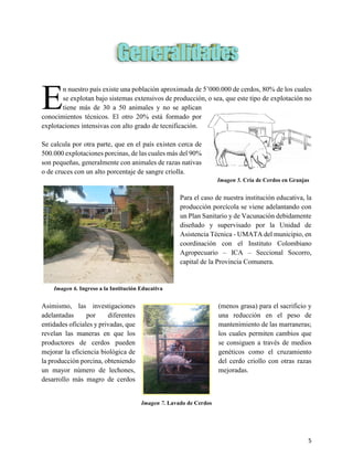 5
1. GENERALIDADES
n nuestro país existe una población aproximada de 5’000.000 de cerdos, 80% de los cuales
se explotan bajo sistemas extensivos de producción, o sea, que este tipo de explotación no
tiene más de 30 a 50 animales y no se aplican
conocimientos técnicos. El otro 20% está formado por
explotaciones intensivas con alto grado de tecnificación.
Se calcula por otra parte, que en el país existen cerca de
500.000 explotaciones porcinas, de las cuales más del 90%
son pequeñas, generalmente con animales de razas nativas
o de cruces con un alto porcentaje de sangre criolla.
Imagen 5. Cría de Cerdos en Granjas
Para el caso de nuestra institución educativa, la
producción porcícola se viene adelantando con
un Plan Sanitario y de Vacunación debidamente
diseñado y supervisado por la Unidad de
Asistencia Técnica - UMATA del municipio, en
coordinación con el Instituto Colombiano
Agropecuario – ICA – Seccional Socorro,
capital de la Provincia Comunera.
Imagen 6. Ingreso a la Institución Educativa
Asimismo, las investigaciones
adelantadas por diferentes
entidades oficiales y privadas, que
revelan las maneras en que los
productores de cerdos pueden
mejorar la eficiencia biológica de
la producción porcina, obteniendo
un mayor número de lechones,
desarrollo más magro de cerdos
(menos grasa) para el sacrificio y
una reducción en el peso de
mantenimiento de las marraneras;
los cuales permiten cambios que
se consiguen a través de medios
genéticos como el cruzamiento
del cerdo criollo con otras razas
mejoradas.
Imagen 7. Lavado de Cerdos
E
 