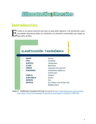 7
2. ALIMENTACIÓN, PRODUCCIÓN Y MERCADEO
2.1. Introducción
l cerdo es un animal omnívoro que tiene un gran poder digestivo y de asimilación, cuyas
necesidades alimenticias deben ser satisfechas con alimentos concentrados que tengan un
bajo índice de fibra.
Imagen 9 – Clasificación Taxonómica del Cerdo. Recuperado de https://image.slidesharecdn.com/porcicultura-
razas-eugenio-120811103318-phpapp01/95/porcicultura-razas-eugenio-6-728.jpg?cb=1344681356
E
 