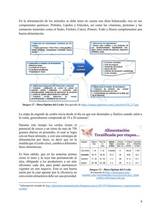 9
En la alimentación de los animales se debe tener en cuenta una dieta balanceada, rica en sus
componentes químicos: Prótidos, Lípidos y Glúcidos, así como las vitaminas, proteínas y las
sustancias minerales como el Sodio, Fósforo, Calcio, Potasio, Yodo y Hierro complementen una
buena alimentación.
Imagen 12 – Dieta Optima del Cerdo. Recuperado de https://images.engormix.com/S_articles/4130_217.jpg
La etapa de engorde de cerdos inicia desde el día en que son destetados y finaliza cuando salen a
la venta, generalmente comprende de 19 a 20 semanas3
.
Durante este tiempo los cerdos tienen el
potencial de crecer a un ritmo de más de 750
gramos diarios en promedio, el cual se logra
con un buen alimento, y con una estrategia de
alimentación por fases, es decir que en la
medida que el cerdo crece, cambia a diferentes
fases alimenticias.
Es bien sabido, que en las materias primas
como el maíz y la soya han permanecido al
alza, obligando a los productores a ser más
eficientes cada día, para poder permanecer
vigentes en este negocio. Esta es una buena
razón por la cual apostar por la eficiencia en
conversión alimenticia debe ser una prioridad.
3
Información tomada de http://alimentacionanimalcerdos.blogspot.com.co/2015/07/alimentacion-y-requerimientos-
en.html
Imagen 13 – Dieta Optima del Cerdo.
Recuperado de http://1.bp.blogspot.com/-
bnklb0fCwMo/VbFiH9BnMhI/AAAAAAAAAAk/C_0DiB
eyBPQ/s1600/mapa%2B2.jpg
 