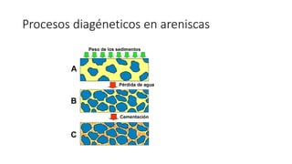 Procesos diagéneticos en areniscas
 