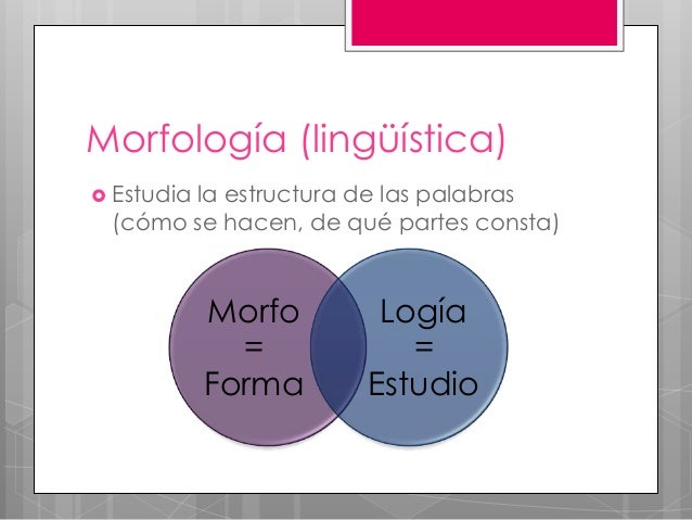 Unita Linguistica Minima Unita Linguistica Minima