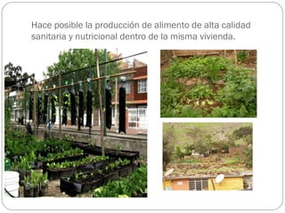 Hace posible la producción de alimento de alta calidad
sanitaria y nutricional dentro de la misma vivienda.
 