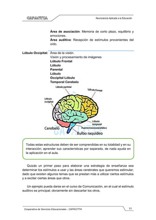 11
Cooperativa de Servicios Educacionales - CAPACITTA
Neurociencia Aplicada a la Educación
Área de asociación: Memoria de corto plazo, equilibrio y
emociones.
Área auditiva: Recepción de estímulos provenientes del
oído.
Lóbulo Occipital: Área de la visión.
Visión y procesamiento de imágenes
Lóbulo Frontal
Lóbulo
Parental
Lóbulo
Occipital Lóbulo
Temporal Cerebelo
Quizás un primer paso para elaborar una estrategia de enseñanza sea
determinar los estímulos a usar y las áreas cerebrales que queremos estimular;
dado que existen algunos temas que se prestan más a utilizar ciertos estímulos
y a excitar ciertas áreas que otros.
Un ejemplo pueda darse en el curso de Comunicación, en el cual el estímulo
auditivo es principal; obviamente sin descartar los otros.
Todas estas estructuras deben de ser comprendidas en su totalidad y en su
interacción; aprender sus características por separado, de nada ayuda en
la aplicación en el aula.
 