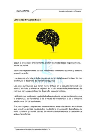 44
Cooperativa de Servicios Educacionales - CAPACITTA
Neurociencia Aplicada a la Educación
Lateralidad y Aprendizaje
Según lo presentado anteriormente, existen dos modalidades de pensamiento.
Verbal No verbal.
Estas son representadas por los hemisferios cerebrales izquierdo y derecho
respectivamente.
Los sistemas educativos de la mayoría de las sociedades occidentales tienden
a estimular el desarrollo del hemisferio izquierdo
Las áreas curriculares que tienen mayor énfasis en la escuela elemental son:
lectura, escritura y aritmética; dejando así la otra mitad de la potencialidad del
individuo con una posibilidad de desarrollo bastante limitada.
La idea de que existen dos modalidades laterizadas de pensamiento sugiere que
la enseñanza, no importando si es a través de conferencias o de la imitación,
afecta a uno de los hemisferios.
El aprendizaje en cualquier área de contenido va a ser más efectivo a medida en
que se activen ambas modalidades, mediante la presentación diversificada de
dicho contenido y a través del uso de un currículo que estimule el desarrollo de
ambos hemisferios.
 