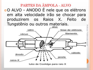 PARTES DA ÂMPOLA - ALVO
O ALVO - ANODO É nele que os elétrons
em alta velocidade irão se chocar para
produzirem os Raios X. Feito de
Tungstênio ou outros materiais.
22
Professor:ValdetrudesJunior
 