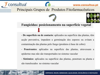 Fungicidas: posicionamento na superfície vegetal
Principais Grupos de Produtos Fitofarmacêuticos
- De superfície ou de contacto: aplicados na superfície das plantas, têm
acção preventiva, impedem a germinação dos esporos ou evitam a
contaminação das plantas pelo fungo (produtos à base de cobre)
- Penetrantes: aplicados na superfície das plantas, atravessam a
epiderme mas não são transportados no sistema vascular
- Sistémico: aplicados na superfície das plantas, penetram na planta e
são translocados no sistema vascular
 