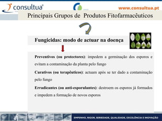 Fungicidas: modo de actuar na doença
Principais Grupos de Produtos Fitofarmacêuticos
Preventivos (ou protectores): impedem a germinação dos esporos e
evitam a contaminação da planta pelo fungo
Curativos (ou terapêuticos): actuam após se ter dado a contaminação
pelo fungo
Erradicantes (ou anti-esporulantes): destroem os esporos já formados
e impedem a formação de novos esporos
 