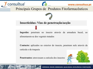 Insecticidas: Vias de penetração/acção
Principais Grupos de Produtos Fitofarmacêuticos
Ingestão: penetram no insecto através da armadura bucal, ao
alimentarem-se dos vegetais tratados
Contacto: aplicados no exterior do insecto, penetram nele através da
cutícula e da traqueia
Penetrantes: atravessam a cutícula dos insectos
 