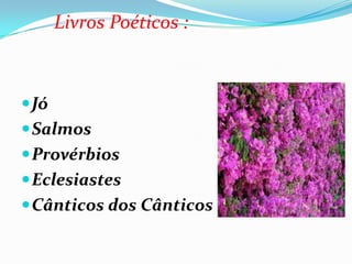 Livros Poéticos :
Jó
Salmos
Provérbios
Eclesiastes
Cânticos dos Cânticos
 