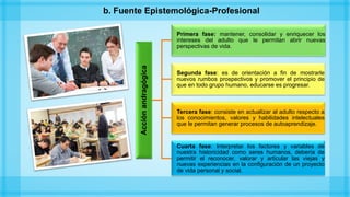 Acciónandragógica
Primera fase: mantener, consolidar y enriquecer los
intereses del adulto que le permitan abrir nuevas
perspectivas de vida.
Segunda fase: es de orientación a fin de mostrarle
nuevos rumbos prospectivos y promover el principio de
que en todo grupo humano, educarse es progresar.
Tercera fase: consiste en actualizar al adulto respecto a
los conocimientos, valores y habilidades intelectuales
que le permitan generar procesos de autoaprendizaje.
Cuarta fase: Interpretar los factores y variables de
nuestra historicidad como seres humanos, debería de
permitir el reconocer, valorar y articular las viejas y
nuevas experiencias en la configuración de un proyecto
de vida personal y social.
b. Fuente Epistemológica-Profesional
 