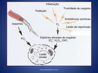 Modulo I Bolivia