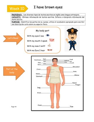 Page 44
PROFIENCY: Lee diversos tipos de textos escritos en inglés como lengua extranjera.
CAPACITY: Obtiene información de textos escritos. Infiere e interpreta información del
texto escrito.
PURPOSE: Identifica las partes de su cuerpo, utiliza el vocabulario apropiado para escribir
una descripción corta sobre su aspecto físico.
Week 10 I have brown eyes
Let’s Read
Part of the
body
My body part
With my eyes I see
With my mouth I speak
With my nose I sniff
With my Ears I hear
 