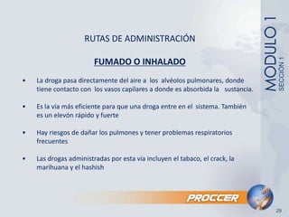 RUTAS DE ADMINISTRACIÓNFUMADO O INHALADO•	La droga pasa directamente del aire a  los  alvéolos pulmonares, donde 	tiene contacto con 	los vasos capilares a donde es absorbida la 	sustancia.•	Es la vía más eficiente para que una droga entre en el 	sistema. También 	es un elevón rápido y fuerte•	Hay riesgos de dañar los pulmones y tener problemas respiratorios 	frecuentes•	Las drogas administradas por esta vía incluyen el tabaco, el crack, la 	marihuana y el hashishSECCIÓN 129