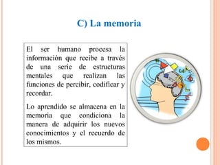 C) La memoria
El ser humano procesa la
información que recibe a través
de una serie de estructuras
mentales que realizan las
funciones de percibir, codificar y
recordar.
Lo aprendido se almacena en la
memoria que condiciona la
manera de adquirir los nuevos
conocimientos y el recuerdo de
los mismos.

 