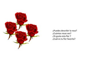 ¿Puedes describir la rosa?
¿Cuántas rosas ves?
¿Te gusta esta flor ?
¿Cuál es tu flor favorita?
 
