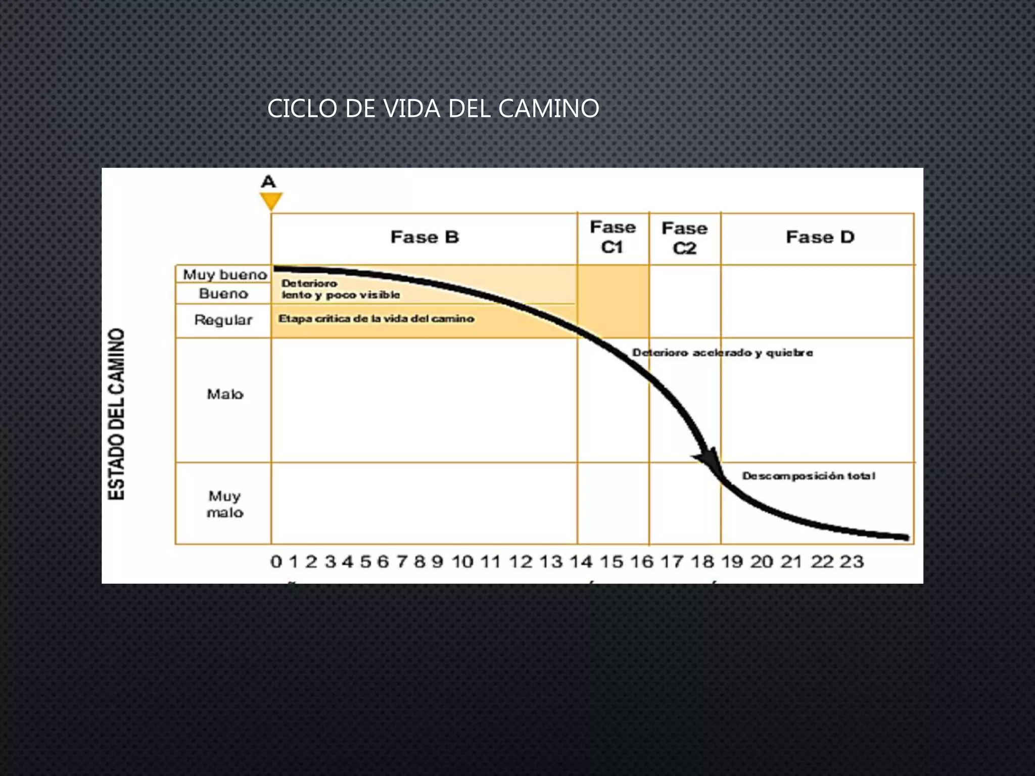 CICLO DE VIDA DEL CAMINO
 