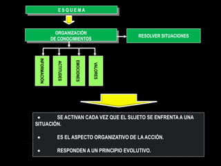 ESQUEMA



                 ORGANIZACIÓN
                                                   RESOLVER SITUACIONES
 INFORMACIÓN   DE CONOCIMIENTOS




                             EMOCIONES
                 ACTITUDES




                                         VALORES




       SE ACTIVAN CADA VEZ QUE EL SUJETO SE ENFRENTA A UNA
SITUACIÓN.

                ES EL ASPECTO ORGANIZATIVO DE LA ACCIÓN.

                RESPONDEN A UN PRINCIPIO EVOLUTIVO.
 