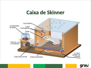 Caixa de Skinner
 