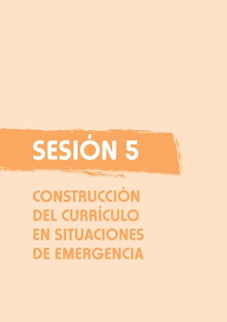 Sesión 5
CONSTRUCCIÓN
DEL CURRÍCULO
EN SITUACIONES
DE EMERGENCIA

 