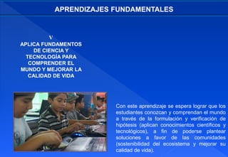 V
APLICA FUNDAMENTOS
DE CIENCIA Y
TECNOLOGÍA PARA
COMPRENDER EL
MUNDO Y MEJORAR LA
CALIDAD DE VIDA
APRENDIZAJES FUNDAMENTALES
Con este aprendizaje se espera lograr que los
estudiantes conozcan y comprendan el mundo
a través de la formulación y verificación de
hipótesis (aplican conocimientos científicos y
tecnológicos), a fin de poderse plantear
soluciones a favor de las comunidades
(sostenibilidad del ecosistema y mejorar su
calidad de vida).
 