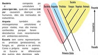 •
Bactéria
é
microrganism
os
composto
unicelulare
s
po
r
e
procarion- tes, que são conhecidos
por causarem doenças em
humanos, eles são nomeados de
eubactérias.
•
Arqueia também são
microrganismos unicelulares e
proca- riontes, mas são menos
conhecidos porque foram
descobertos mais recentemente
em ambientes extremos.
•
Eucaria tem como representante
os protistas (protozoários), os
fungos, as plantas e os animais.
Como o próprio nome sugere,
os Eucaria se diferenciam
dos outros dois domínios pela
 