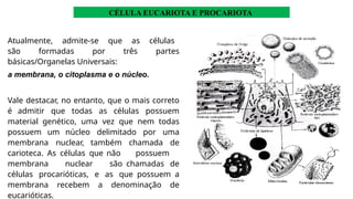 Atualmente, admite-se que as células
são formadas por três partes
básicas/Organelas Universais:
a membrana, o citoplasma e o núcleo.
Vale destacar, no entanto, que o mais correto
é admitir que todas as células possuem
material genético, uma vez que nem todas
possuem um núcleo delimitado por uma
membrana nuclear, também chamada de
carioteca. As células que não possuem
membrana nuclear são chamadas de
células procarióticas, e as que possuem a
membrana recebem a denominação de
eucarióticas.
CÉLULA EUCARIOTA E PROCARIOTA
 