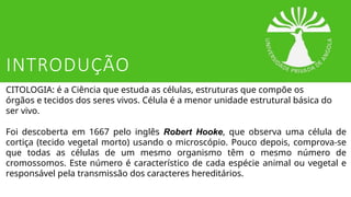 INTRODUÇÃO
CITOLOGIA: é a Ciência que estuda as células, estruturas que compõe os
órgãos e tecidos dos seres vivos. Célula é a menor unidade estrutural básica do
ser vivo.
Foi descoberta em 1667 pelo inglês Robert Hooke, que observa uma célula de
cortiça (tecido vegetal morto) usando o microscópio. Pouco depois, comprova-se
que todas as células de um mesmo organismo têm o mesmo número de
cromossomos. Este número é característico de cada espécie animal ou vegetal e
responsável pela transmissão dos caracteres hereditários.
 