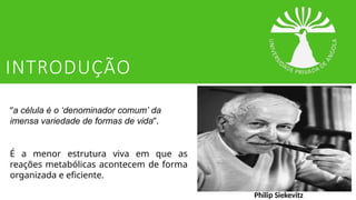 INTRODUÇÃO
Philip Siekevitz
“a célula é o ‘denominador comum’ da
imensa variedade de formas de vida”.
É a menor estrutura viva em que as
reações metabólicas acontecem de forma
organizada e eficiente.
 