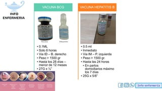 Info-enfermería
• 0.1ML
• Solo 6 horas
• Via ID – B. derecho
• Peso > 1500 gr
• Hasta los 28 días –
menor de 12 meses
• 27G x ½”
VACUNA BCG
• 0.5 ml
• Inmediato
• Via IM – P. izquierda
• Peso > 1500 gr.
• Hasta las 24 horas
• En partos
domiciliarios máximo
los 7 días
• 25G x 5/8”
VACUNA HEPATITIS B
 