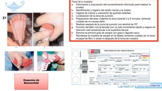 Info-enfermería
Esquema de
Blumenfeld
Toma de la muestra:
a. Información y suscripción del consentimiento informado para realizar la
prueba.
b. Identificación y registro del recién nacido y la madre.
c. Higiene de manos y colocación de guantes estériles.
d. Localización de la zona de punción.
e. Preparación del área: Calentar la zona durante 3 a 5 minutos, teniendo
cuidado de no causar daño.
f. Realizar asepsia de la zona de punción con alcohol de 70º
g. Punción del talón con la lanceta con un solo movimiento rápido y seguro en
dirección casi perpendicular a la superficie del pie.
h. Eliminar la primera gota de sangre con gasa o algodón seco.
i. Recolectar la muestra de sangre en la tarjeta, teniendo cuidado de no tocar
el papel de filtro ni antes ni después de la toma de muestra
 