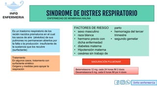 Info-enfermería
SINDROME DE DISTRES RESPIRATORIO
Es un trastorno respiratorio de los
recién nacidos prematuros en el cual
los sacos de aire (alvéolos) de sus
pulmones no permanecen abiertos por
la falta o la producción insuficiente de
la sustancia que los recubre
(surfactante)
ENFERMEDAD DE MEMBRANA HIALINA
Tratamiento
En algunos casos, tratamiento con
surfactante sintético
Oxígeno y medidas para apoyar la
respiración
FACTORES DE RIESGO
• sexo masculino
• raza blanca
• hermano previo con
dicha enfermedad
• diabetes materna
• Hipotensión materna
• cesárea sin trabajo de
parto
• hemorragia del tercer
trimestre
• segundo gemelar
Betametasona 12 mg. cada 24 horas IM 2 dosis
Dexametasona 6 mg. cada 6 horas IM por 4 dosis
MADURACIÓN PULMONAR
 