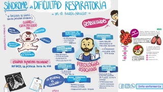 Info-enfermería
 