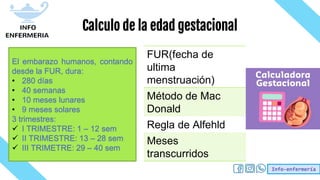 Info-enfermería
Calculo de la edad gestacional
FUR(fecha de
ultima
menstruación)
Método de Mac
Donald
Regla de Alfehld
Meses
transcurridos
El embarazo humanos, contando
desde la FUR, dura:
• 280 días
• 40 semanas
• 10 meses lunares
• 9 meses solares
3 trimestres:
 I TRIMESTRE: 1 – 12 sem
 II TRIMESTRE: 13 – 28 sem
 III TRIMETRE: 29 – 40 sem
 
