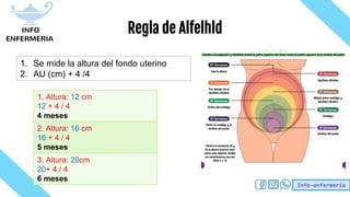 Info-enfermería
Regla de Alfelhld
1. Se mide la altura del fondo uterino
2. AU (cm) + 4 /4
1. Altura: 12 cm
12 + 4 / 4
4 meses
2. Altura: 16 cm
16 + 4 / 4
5 meses
3. Altura: 20cm
20+ 4 / 4
6 meses
 