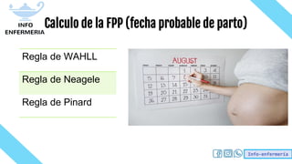 Info-enfermería
Calculo de la FPP (fecha probable de parto)
Regla de WAHLL
Regla de Neagele
Regla de Pinard
 
