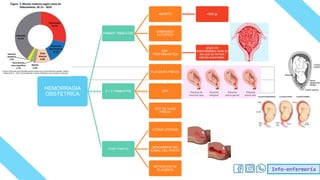 Info-enfermería
HEMORRAGIA
OBSTETRICA
PRIMER TRIMESTRE
ABORTO <500 gr
EMBARAZO
ECTOPICO
ENF.
TROFOBLASTICA
grupo de
enfermedades raras en
las que se forman
células anormales
2 Y 3 TRIMESTRE
PLACENTA PREVIA
DPP
ROT DE VASA
PREVIA
POST PARTO
ATONIA UTERINA
DESGARROS DEL
CANAL DEL PARTO
RETENCION DE
PLACENTA
 