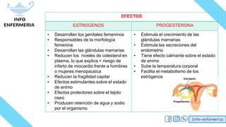 Info-enfermería
EFECTOS
ESTROGENOS PROGESTERONA
• Desarrollan los genitales femeninos
• Responsables de la morfología
femenina
• Desarrollan las glándulas mamarias
• Reducen los niveles de colesterol en
plasma, lo que explica < riesgo de
infarto de miocardio frente a hombres
o mujeres menopausica
• Reducen la fragilidad capilar
• Efectos estimulantes sobre el estado
de animo
• Efectos protectores sobre el tejido
oseo
• Producen retención de agua y sodio
por el organismo
• Estimula el crecimiento de las
glándulas mamarias
• Estimula las secreciones del
endometrio
• Tiene efecto calmante sobre el estado
de animo
• Sube la temperatura corporal
• Facilita el metabolismo de los
estrógenos
 
