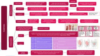 Info-enfermería
HEMORRAGIA PUERPERAL
PARTO NORMAL> 500ml
CESAREA >1000ML
 