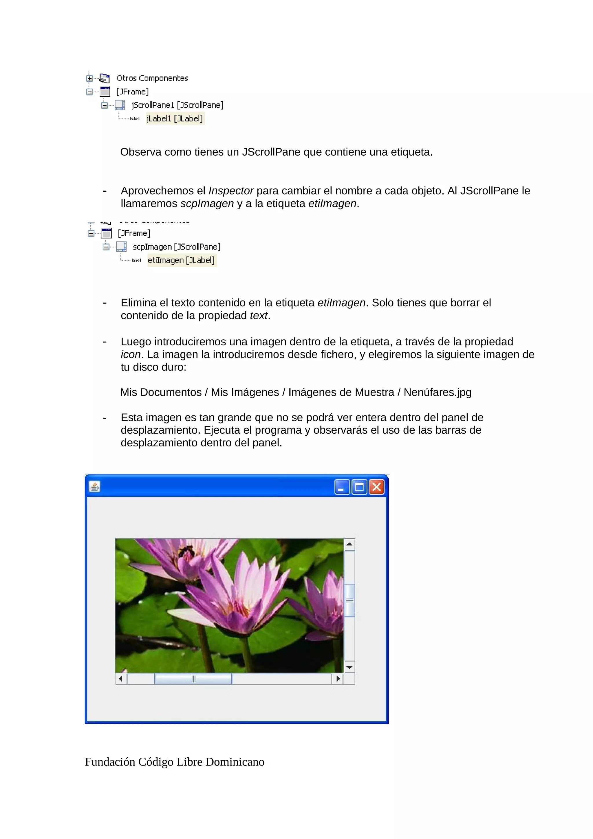 Observa como tienes un JScrollPane que contiene una etiqueta.
- Aprovechemos el Inspector para cambiar el nombre a cada objeto. Al JScrollPane le
llamaremos scpImagen y a la etiqueta etiImagen.
- Elimina el texto contenido en la etiqueta etiImagen. Solo tienes que borrar el
contenido de la propiedad text.
- Luego introduciremos una imagen dentro de la etiqueta, a través de la propiedad
icon. La imagen la introduciremos desde fichero, y elegiremos la siguiente imagen de
tu disco duro:
Mis Documentos / Mis Imágenes / Imágenes de Muestra / Nenúfares.jpg
- Esta imagen es tan grande que no se podrá ver entera dentro del panel de
desplazamiento. Ejecuta el programa y observarás el uso de las barras de
desplazamiento dentro del panel.
Fundación Código Libre Dominicano
 