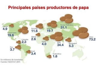 Principales países productores de papa
 
