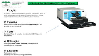 ETAPAS DA PREPARAÇÃO DA LÂMINA
1. Fixação
O material é tratado com substâncias químicas, como formol, álcool ou
ácido acético, para matar as células e conservar a estrutura. Inibir a
degeneração dos tecidos. Fixadores: Formol, álcool absoluto.
2. Inclusão
Mergulho do material em solvente de parafina para im-
pregná- lo com a mesma.
3. Corte
Corte do bloco de parafina com o material biológico no
micrótomo
4. Coloração
Utilização de co- rantes seletivos, para evidênciar
substâncias ou estruturas
5. Lavagem
Retirada do exces-
so de corante. Banho com água e álcool.
 