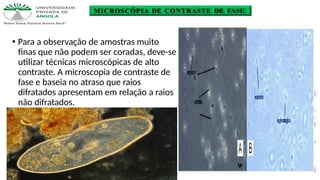 MICROSCÓPIA DE CONTRASTE DE FASE
🞄 Para a observação de amostras muito
finas que não podem ser coradas, deve-se
utilizar técnicas microscópicas de alto
contraste. A microscopia de contraste de
fase e baseia no atraso que raios
difratados apresentam em relação a raios
não difratados.
 