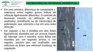 MICROSCÓPIA DE CONTRASTE DIFERENCIAL
🞄 Em uma amostra, diferenças de composição e
espessura entre regiões geram índices de
refração ligeiramente diferentes. O contrate de
Nomarski consiste na utilização de um
analisador, semelhante ao da microscópia de
polarização, que seleciona a luz em uma única
direcção.
🞄 Em seguida, a luz é dividida em dois feixes
ligeiramente afastados por um prisma. Depois
de interagir com a amostra, esses feixes são
reunidos por um segundo prisma e, em
seguida, passam por um analisador que
seleciona os feixes que sofreram mudança de
angulação.
 