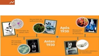 MODULO - METÓDO DE ESTUDO DA CÉLULA.pptx