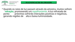 • Quando os raios de luz passam através da amostra, muitos sofrem
refração, promovendo um espalhamento. A luz refratada de
ponto próximos sofrerão interações positivas e negativas,
gerando regiões de alta e baixa luminosidade.
MAGNIFICAÇÃO DA IMAGEM
 