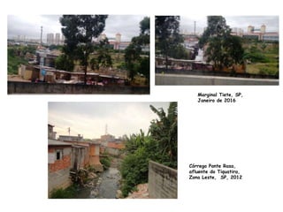 Córrego Ponte Rasa,
afluente do Tiquatira,
Zona Leste, SP, 2012
Marginal Tiete, SP,
Janeiro de 2016
 