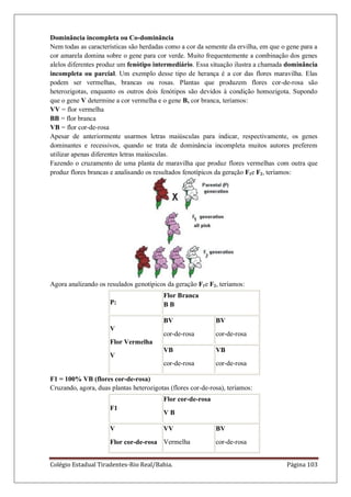Colégio Estadual Tiradentes-Rio Real/Bahia. Página 103
Dominância incompleta ou Co-dominância
Nem todas as características são herdadas como a cor da semente da ervilha, em que o gene para a
cor amarela domina sobre o gene para cor verde. Muito frequentemente a combinação dos genes
alelos diferentes produz um fenótipo intermediário. Essa situação ilustra a chamada dominância
incompleta ou parcial. Um exemplo desse tipo de herança é a cor das flores maravilha. Elas
podem ser vermelhas, brancas ou rosas. Plantas que produzem flores cor-de-rosa são
heterozigotas, enquanto os outros dois fenótipos são devidos à condição homozigota. Supondo
que o gene V determine a cor vermelha e o gene B, cor branca, teríamos:
VV = flor vermelha
BB = flor branca
VB = flor cor-de-rosa
Apesar de anteriormente usarmos letras maiúsculas para indicar, respectivamente, os genes
dominantes e recessivos, quando se trata de dominância incompleta muitos autores preferem
utilizar apenas diferentes letras maiúsculas.
Fazendo o cruzamento de uma planta de maravilha que produz flores vermelhas com outra que
produz flores brancas e analisando os resultados fenotípicos da geração F1e F2, teríamos:
Agora analizando os resulados genotípicos da geração F1e F2, teríamos:
P:
Flor Branca
B B
V
Flor Vermelha
V
BV
cor-de-rosa
BV
cor-de-rosa
VB
cor-de-rosa
VB
cor-de-rosa
F1 = 100% VB (flores cor-de-rosa)
Cruzando, agora, duas plantas heterozigotas (flores cor-de-rosa), teríamos:
F1
Flor cor-de-rosa
V B
V
Flor cor-de-rosa
VV
Vermelha
BV
cor-de-rosa
 