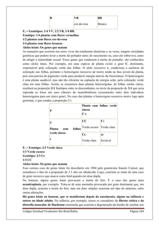 Colégio Estadual Tiradentes-Rio Real/Bahia. Página 104
B VB
cor-de-rosa
BB
Branca
F2 = Genótipos: 1/4 VV, 1/2 VB, 1/4 BB.
Fenótipo: 1/4 plantas com flores vermelhas
1/2 plantas com flores cor-de-rosa
1/4 plantas com flores brancas
Alelos letais: Os genes que matam
As mutações que ocorrem nos seres vivos são totalmente aleatórias e, às vezes, surgem variedades
genéticas que podem levar a morte do portador antes do nascimento ou, caso ele sobreviva, antes
de atingir a maturidade sexual. Esses genes que conduzem à morte do portador, são conhecidos
como alelos letais. Por exemplo, em uma espécie de planta existe o gene C, dominante,
responsável pela coloração verde das folhas. O alelo recessivo c, condiciona a ausência de
coloração nas folhas, portanto o homozigoto recessivo cc morre ainda na fase jovem da planta,
pois esta precisa do pigmento verde para produzir energia através da fotossíntese. O heterozigoto
é uma planta saudável, mas não tão eficiente na captação de energia solar, pela coloração verde
clara em suas folhas. Assim, se cruzarmos duas plantas heterozigotas, de folhas verdes claras,
resultará na proporção 2:1 fenótipos entre os descendentes, ao invés da proporção de 3:1 que seria
esperada se fosse um caso clássico de monoibridismo (cruzamento entre dois indivíduos
heterozigotos para um único gene). No caso das plantas o homozigoto recessivo morre logo após
germinar, o que conduz a proporção 2:1.
P
Planta com folhas verde
claras
C c
C
Planta com folhas
verde claras
c
CC
Verde escuro
Cc
Verde clara
Cc
Verde clara
cc
Inviável
F1 = Fenótipo: 2/3 Verde clara
1/3 Verde escura
Genótipo: 2/3 Cc
1/3 CC
Alelos letais: Os genes que matam
Esse curioso caso de genes letais foi descoberto em 1904 pelo geneticista francês Cuénot, que
estranhava o fato de a proporção de 3:1 não ser obedecida. Logo, concluiu se tratar de uma caso
de gene recessivo que atuava como letal quando em dose dupla.
No homem, alguns genes letais provocam a morte do feto. É o caso dos genes para
acondroplasia, por exemplo. Trata-se de uma anomalia provocada por gene dominante que, em
dose dupla, acarreta a morte do feto, mas em dose simples ocasiona um tipo de nanismo, entre
outras alterações.
Há genes letais no homem, que se manifestam depois do nascimento, alguns na infância e
outros na idade adulta. Na infância, por exemplo, temos os causadores da fibrose cística e da
distrofia muscular de Duchenne (anomalia que acarreta a degeneração da bainha de mielina nos
 