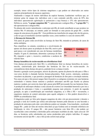 Colégio Estadual Tiradentes-Rio Real/Bahia. Página 108
exemplo, temos vários tipos de sistemas sanguíneos e que podem ser observados em outras
espécies principalmente de macacos superiores.
Analisando o sangue de muitos indivíduos da espécie humana, Landsteiner verificou que, ao
misturar gotas de sangue dos indivíduos com o soro contendo anti-Rh, cerca de 85% dos
indivíduos apresentavam aglutinação (e pertenciam a raça branca) e 15% não apresentavam.
Definiu-se, assim, "o grupo sanguíneo Rh +
” ( apresentavam o antígeno Rh), e "o grupo Rh -
“ (
não apresentavam o antígeno Rh).
No plasma não ocorre naturalmente o anticorpo anti-Rh, de modo semelhante ao que acontece no
sistema Mn. O anticorpo, no entanto, pode ser formado se uma pessoa do grupo Rh -
, recebe
sangue de uma pessoa do grupo Rh +
. Esse problema nas transfusões de sangue não são tão graves,
a não ser que as transfusões ocorram repetidas vezes, como também é o caso do sistema MN.
A Herança do Sistema Rh
Três pares de genes estão envolvidos na herança do fator Rh, tratando-se portanto, de casos de
alelos múltiplos.
Para simplificar, no entanto, considera-se o envolvimento de
apenas um desses pares na produção do fator Rh, motivo pelo
qual passa a ser considerado um caso de herança mendeliana
simples. O gene R, dominante, determina a presença do fator
Rh, enquanto o gene r, recessivo, condiciona a ausência do
referido fator.
Fenótipos Genótipos
Rh+
RR ou Rr
Rh -
rr
Doença hemolítica do recém-nascido ou eritroblastose fetal
Uma doença provocada pelo fator Rh é a eritroblastose fetal ou doença hemolítica do recém-
nascido, caracterizada pela destruição das hemácias do feto ou do recém-nascido. As
conseqüências desta doença são graves, podendo levar a criança à morte.
Durante a gestação ocorre passagem, através da placenta, apenas de plasma da mãe para o filho e
vice-versa devido à chamada barreira hemato-placentária. Pode ocorrer, entretanto, acidentes
vasculares na placenta, o que permite a passagem de hemácias do feto para a circulação materna.
Nos casos em que o feto possui sangue fator rh positivo os antígenos existentes em suas hemácias
estimularão o sistema imune materno a produzir anticorpos anti-Rh que ficarão no plasma
materno e podem, por serem da classe IgG, passar pela BHP provocando lise nas hemácias fetais.
A produção de anticorpos obedece a uma cascata de eventos (ver imunidade humoral) e por isto a
produção de anticorpos é lenta e a quantidade pequena num primeiro. A partir da segunda
gestação, ou após a sensibilização por transfusão sanguínea, se o filho é Rh + novamente, o
organismo materno já conterá anticorpos para aquele antígeno e o feto poderá desenvolver a
DHPN ou eritroblastose fetal.
O diagnóstico pode ser feito pela tipagem sanguínea da mãe e do pai precocemente e durante a
gestação o teste de Coombs que utiliza anti-anticorpo humano pode detectar se esta havendo a
produção de anticorpos pela mãe e providências podem ser tomadas. Uma transfusão , recebendo
sangue Rh -, pode ser feita até mesmo intra-útero já que Goiânia está se tornando referência em
fertilização in vitro. O sangue Rh - não possui hemácias com fator Rh e não podem ser
reconhecidas como estranhas e destruídas pelos anticorpos recebidos da mãe. Após cerca de 120
dias, as hemácias serão substituídas por outras produzidas pelo próprio indivíduo. O sangue
novamente será do tipo Rh +, mas o feto já não correrá mais perigo
 